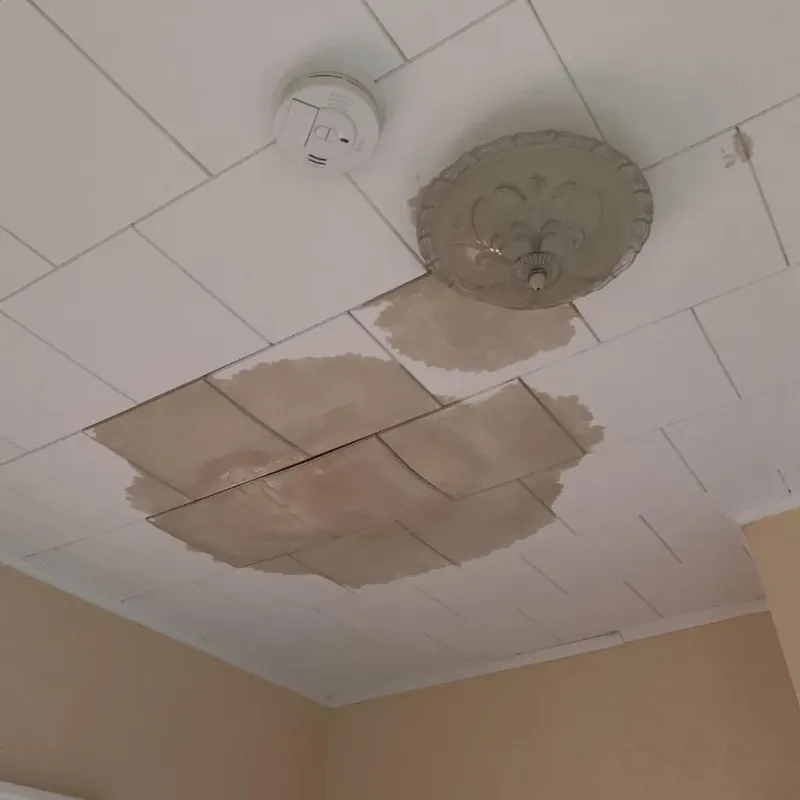 Ceiling Water Damage Repair in Waconia, MN